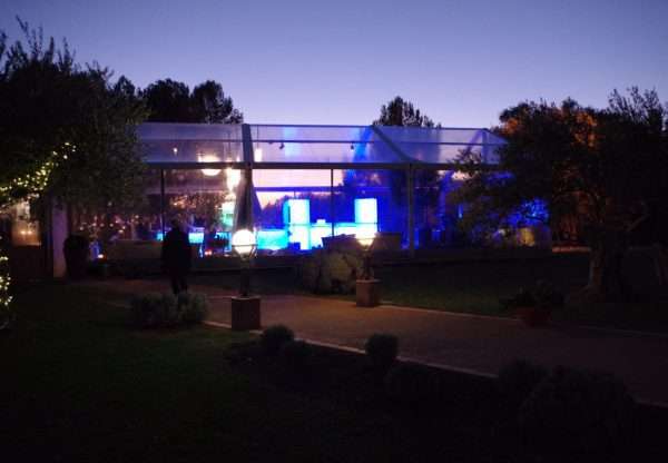 Carpa transparente